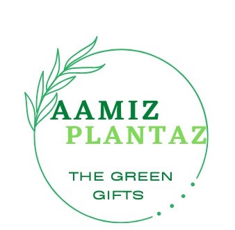 AAMIZ PLANTAZ Logo